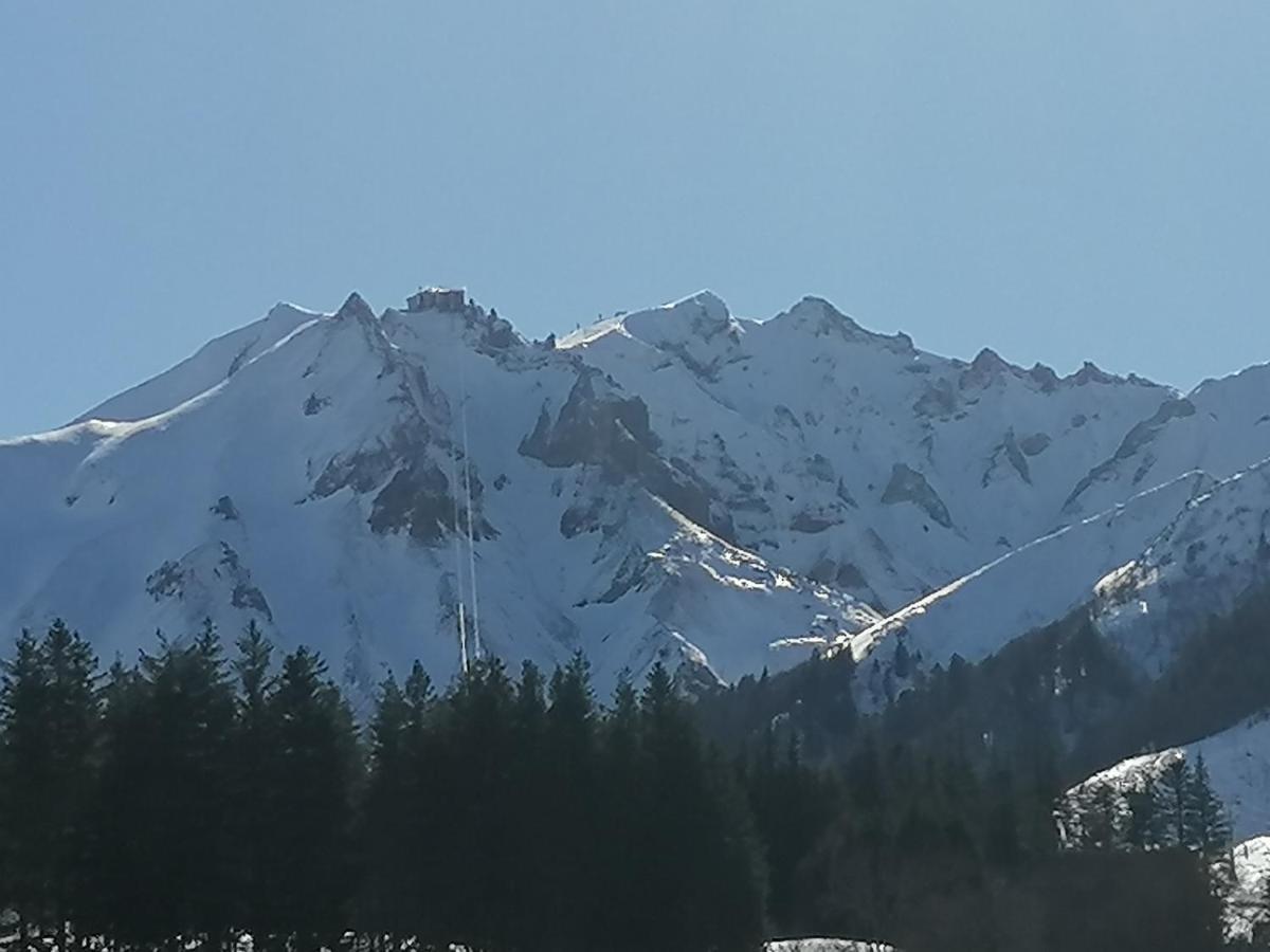 Coquelicot, Entre Volcans D Auvergne Et Sancy, Orcival. Esterno foto